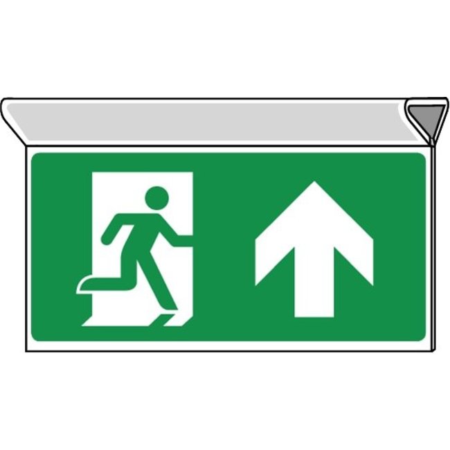 Pikt-o-Norm Pictogram emergency exit straight on