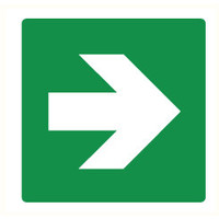 Pikt-o-Norm Pictogram arrow green