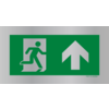 Pikt-o-Norm Pictogram emergency exit straight on
