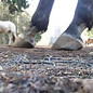 Paarden PADDOCK roosters voor droge ondergrond.