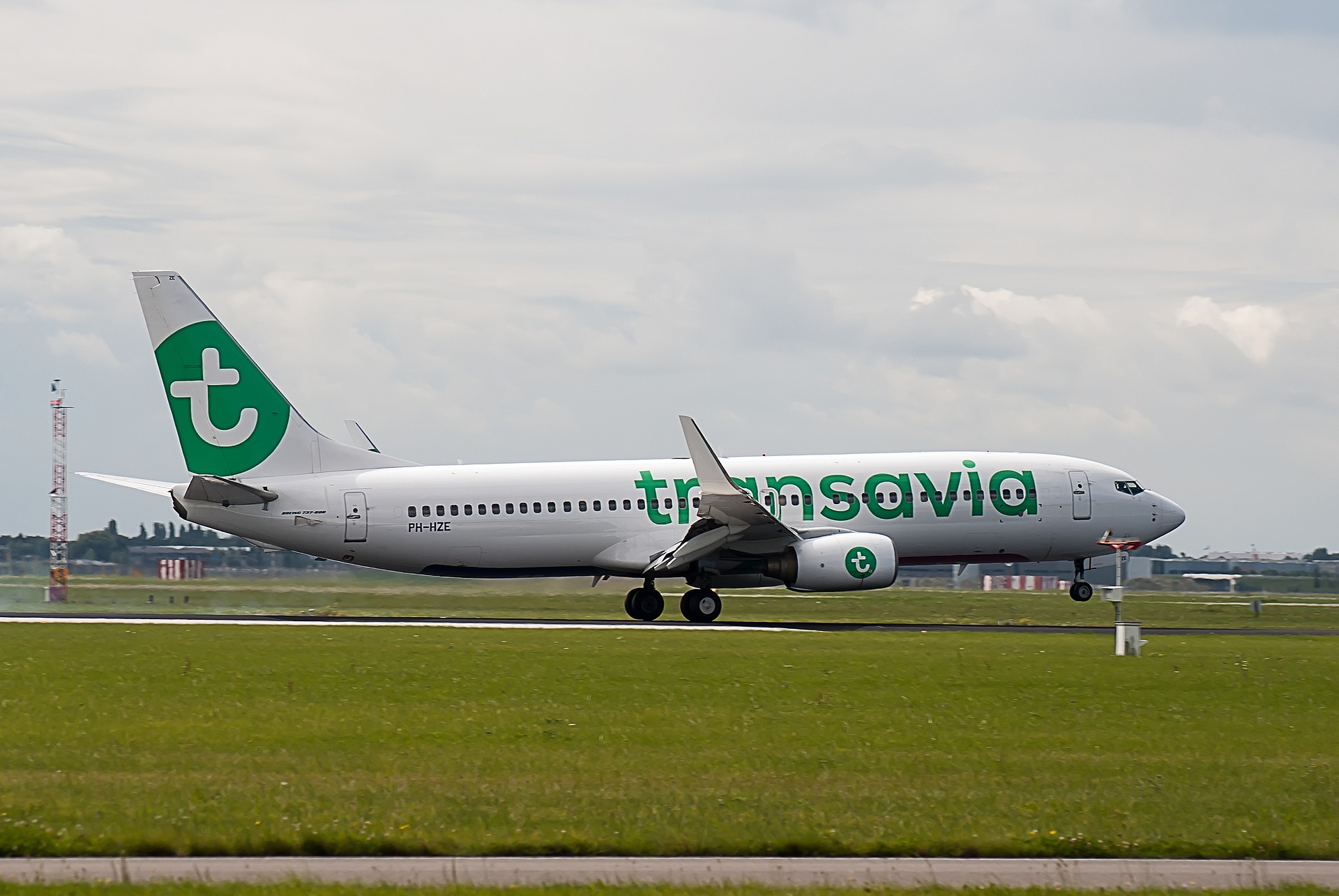 Uitputting Giftig Augment Vliegen met uw hond en Transavia - Autobench.nl