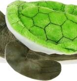 dierenpantoffel Schildpad