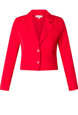 Ivy beau Kort rood jasje