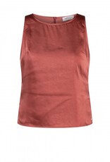 Ivy Beau Glans top Danee