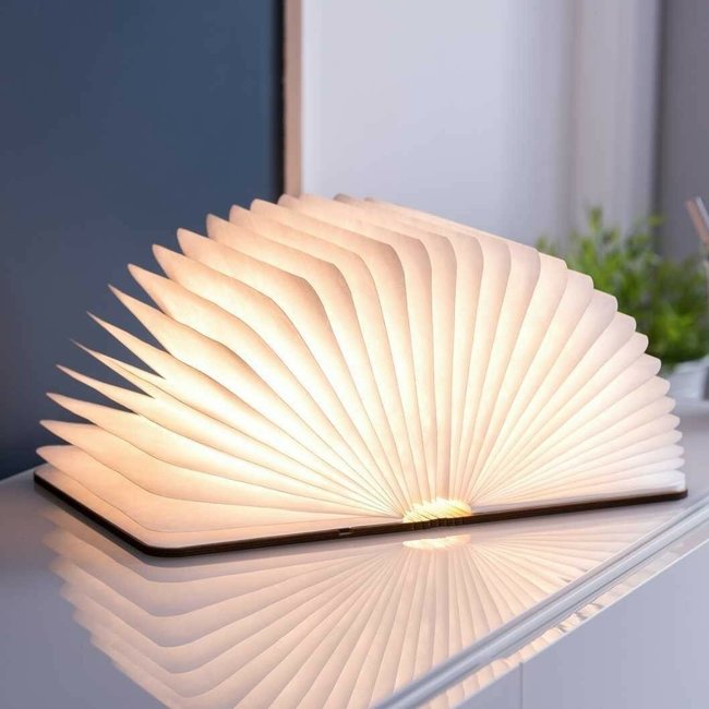 Smart Book Light Walnuss large Gingko Axeswar Design