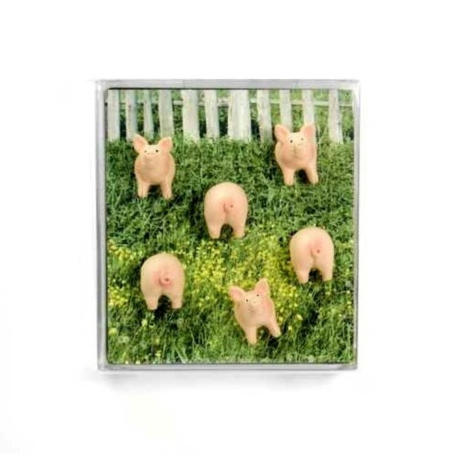 Trendform Magnete Schweine - 6er-Set - stark