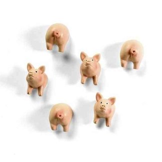 Trendform Aimants Cochon