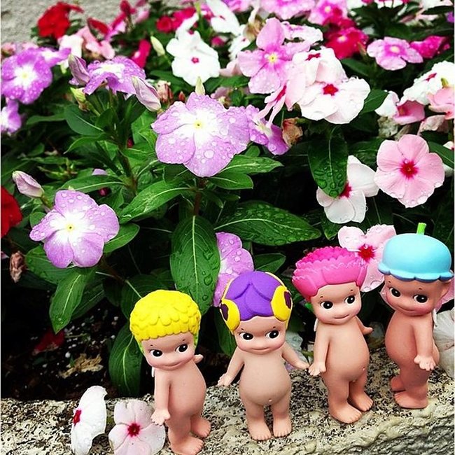 Sonny Angel Flower  Series