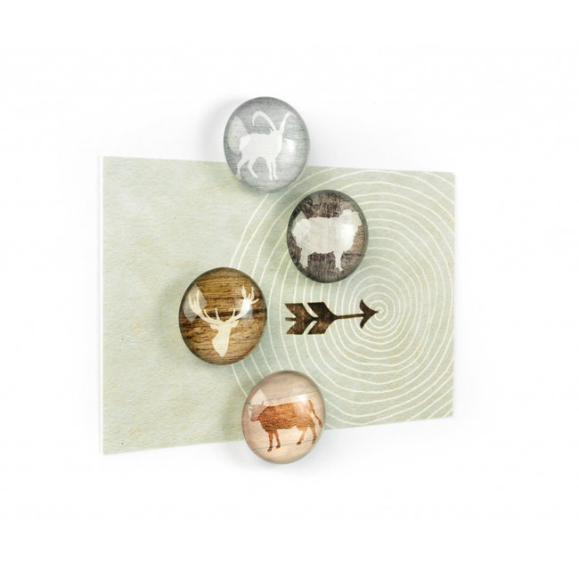 Trendform - Magnets Alp Life - set of 4