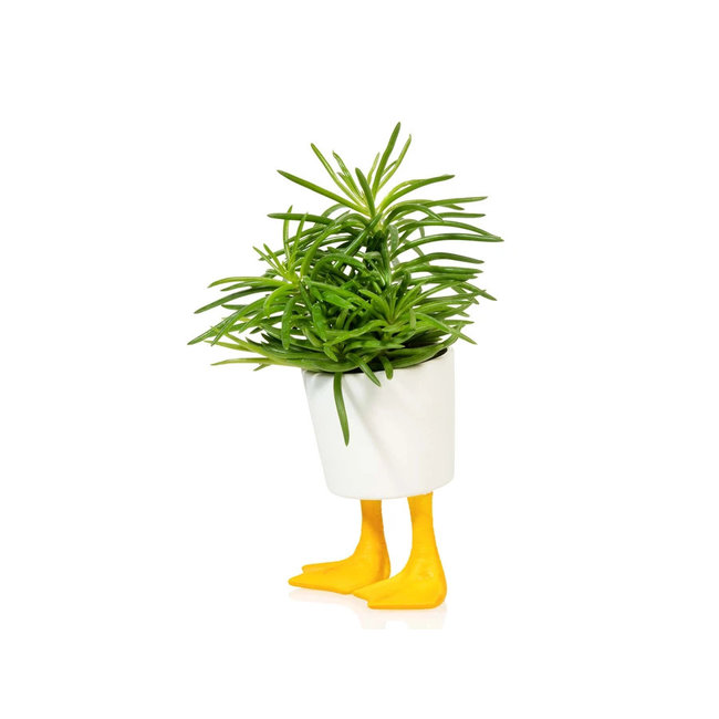 Bitten - Planter Duck Feet  - small - porcelain