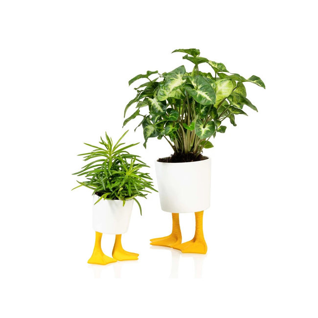 Bitten - Planter Duck Feet  - small - porcelain