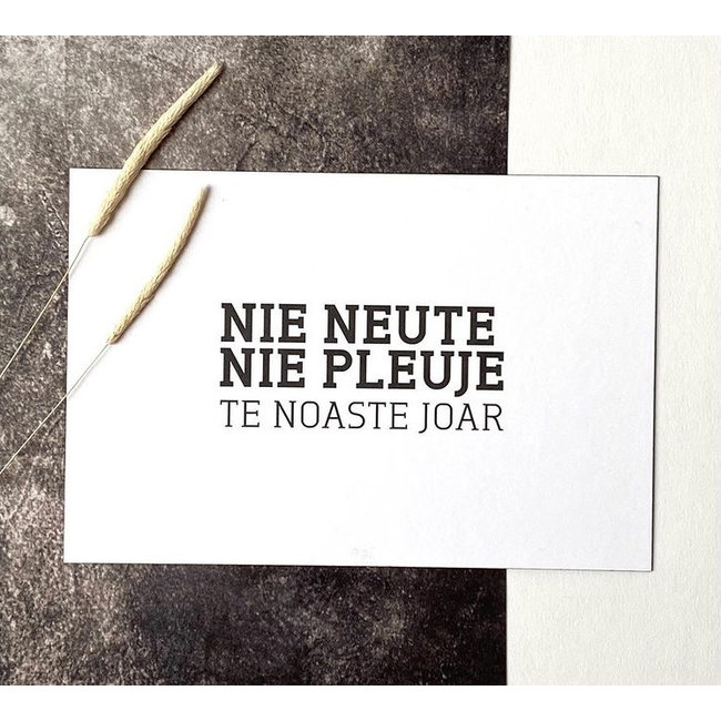 Nieuwjaarskaarten Gents Dialect - set van 3