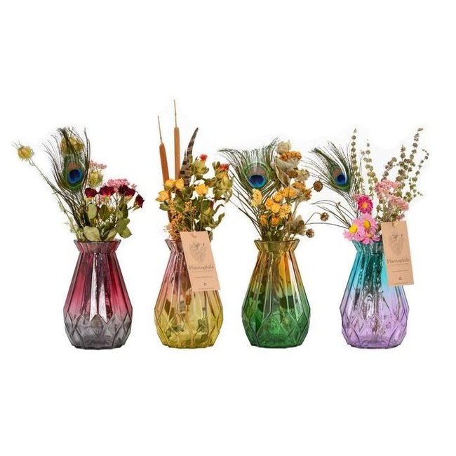 Plantophile Vase with Bouquet of Dried Flowers - small