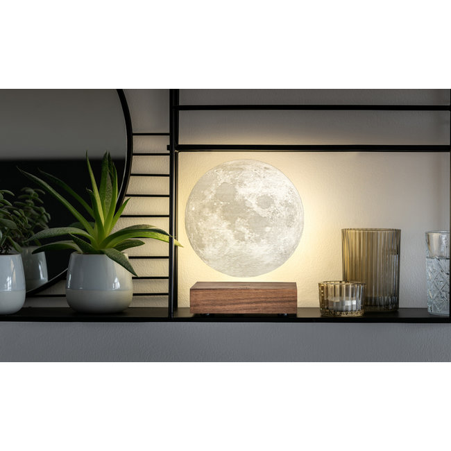 Gingko - Smart Moon Lamp - notenhout
