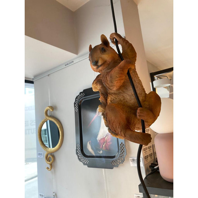 Karé Design - Ceiling Light - Animal Lamp Squirrel