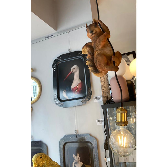 Karé Design - Ceiling Light - Animal Lamp Squirrel
