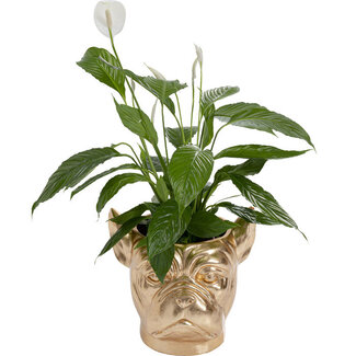 Kare Design Bloempot - Cachepot Bulldog - goud