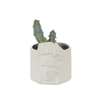 Balvi Mini Flower Pot Frida Kahlo