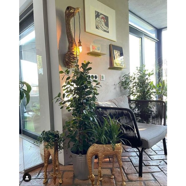 Werner Voß - Wall Lamp - Animal Lamp Ostrich Franz Josef - H 72 cm