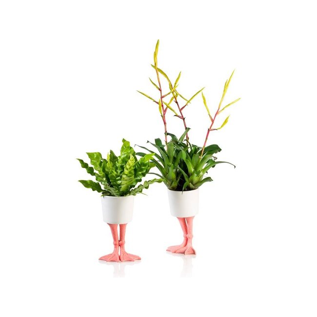 Bitten - Pot de Plante Pieds de Flamants Roses - porcelaine - large