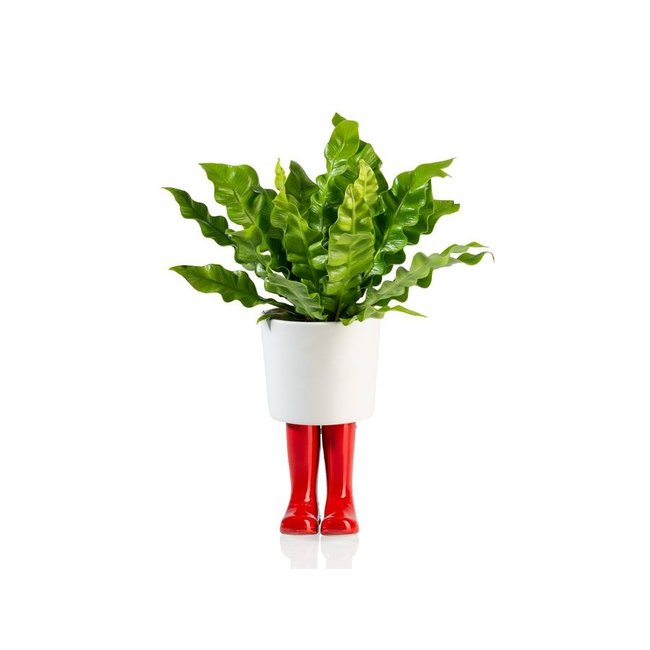 Bitten - Blumentopf Gummistiefel - Porzellan - large