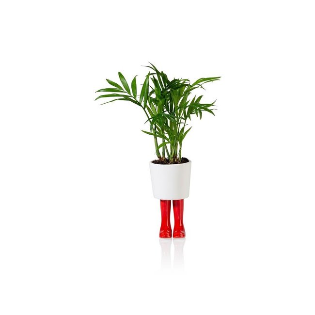 Bitten - Pot de Plantes Bottes Wellington - porcelaine - small