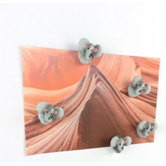 Trendform - Magneten Olifant - set van 5