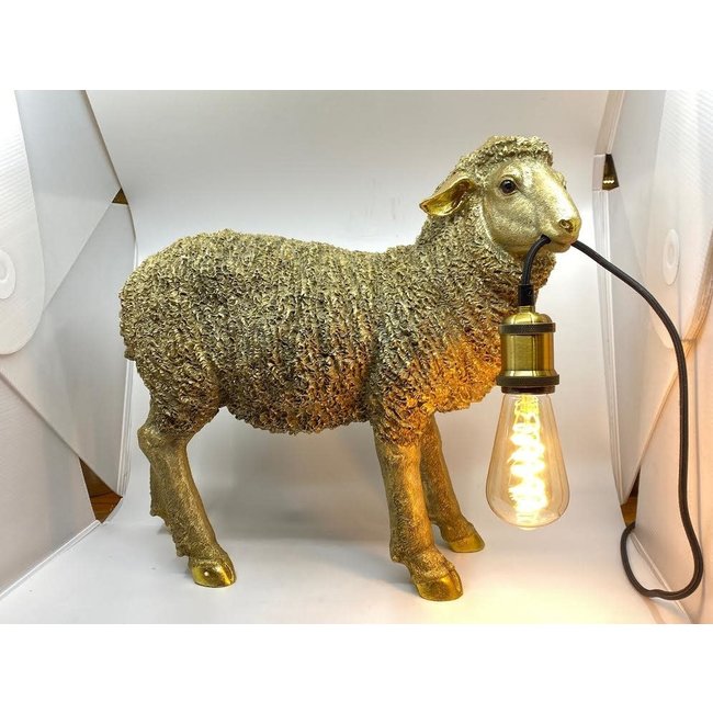 Lampe de Table -  Lampe de Sol Mouton