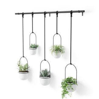 Umbra Plant Hanger Triflora 5 Large