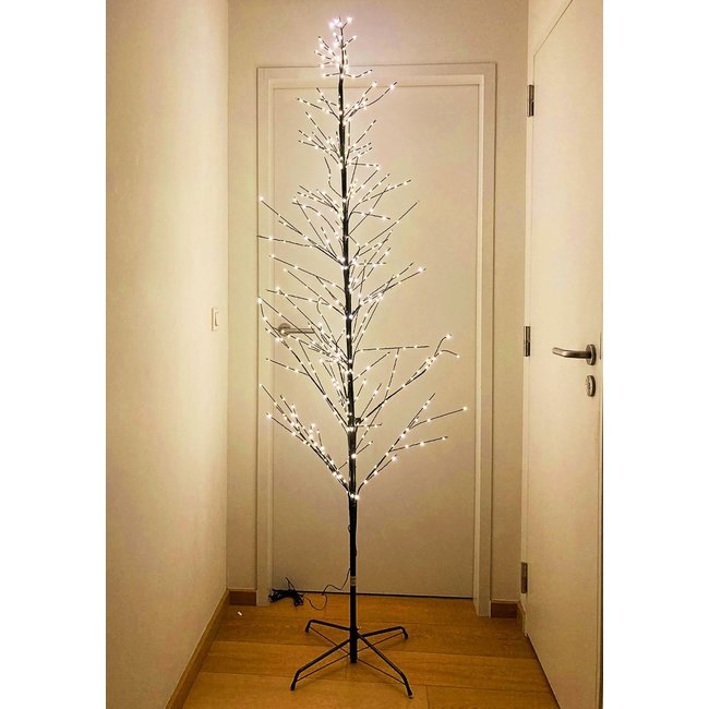 LED beleuchteter Weihnachtsbaum - extra large - H 210 cm