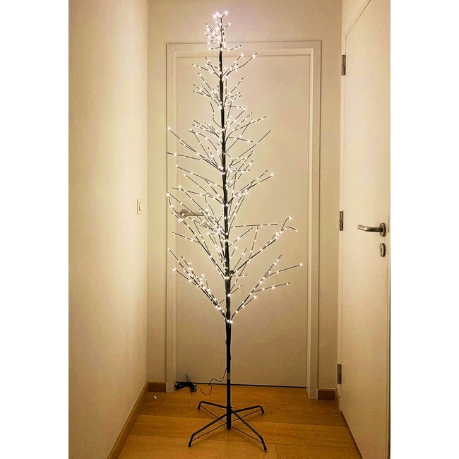 LED Illuminated Christmas Tree - extra large - H 210 cm