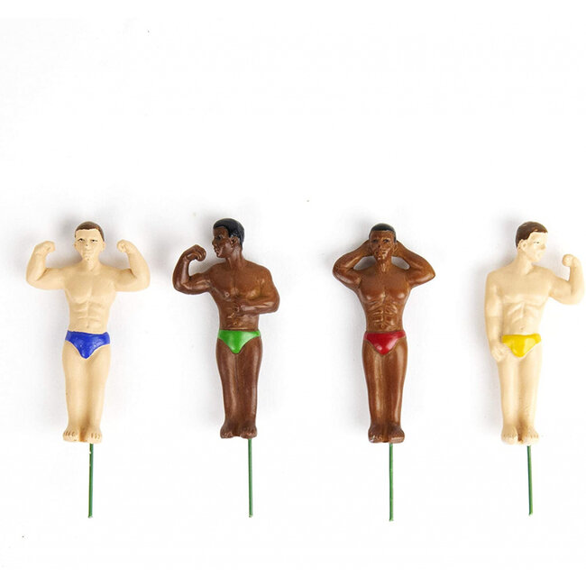 Gift Republic - Plant Pot Markers Hunks - set of 4