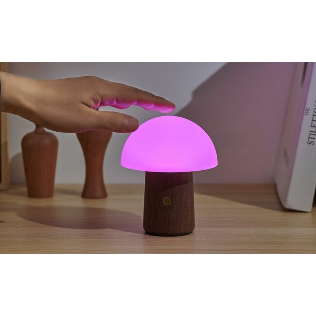 Gingko - Mini Alice Mushroom Lamp - walnut - color changing - rechargeabler