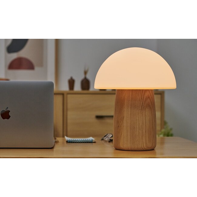 Gingko - Alice Mushroom Lamp - ash wood - color changing - rechargeable