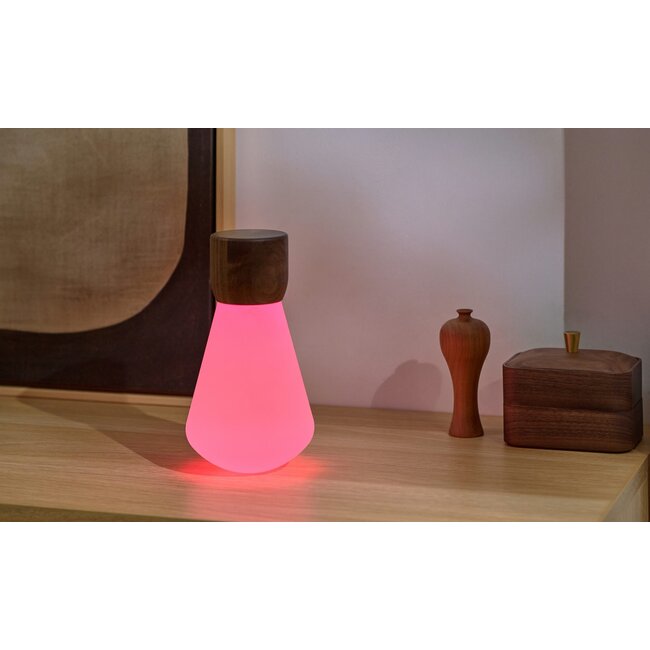 Gingko - Mood Lamp Pentagon Desk Bulb - large -  walnut - rechargeable - color changing