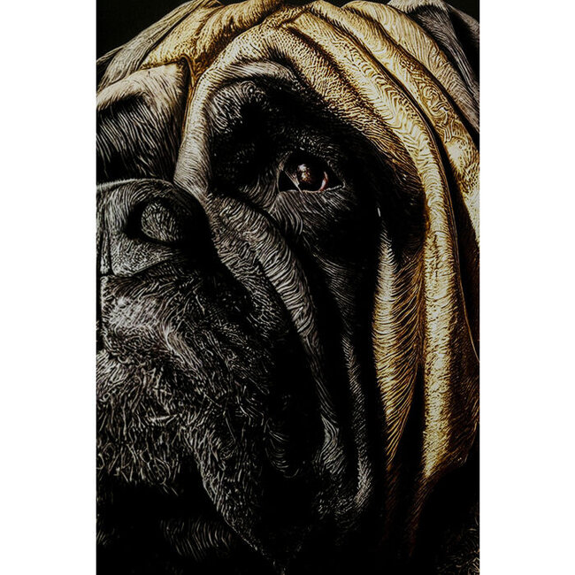 Karé Design - Fotoglas Koning Mopshond - King Pug - Wanddecoratie Poster - 40x60