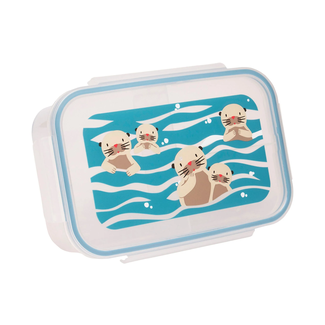 Lunch Box Baby Otter