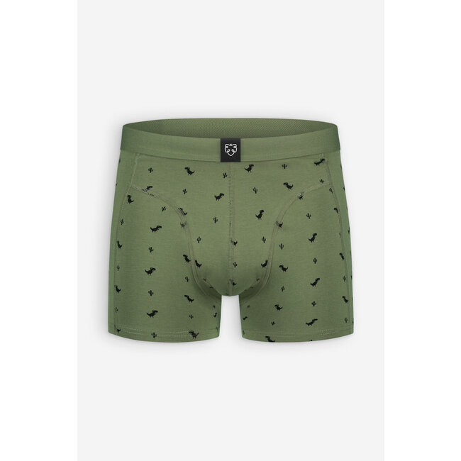 A-dam - Caleçon Boxer Briefs Dino