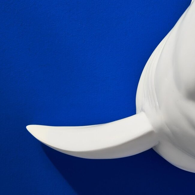 Werner Voß - Lampe Murale - Lampe Animale Requin Sharky - blanc/or