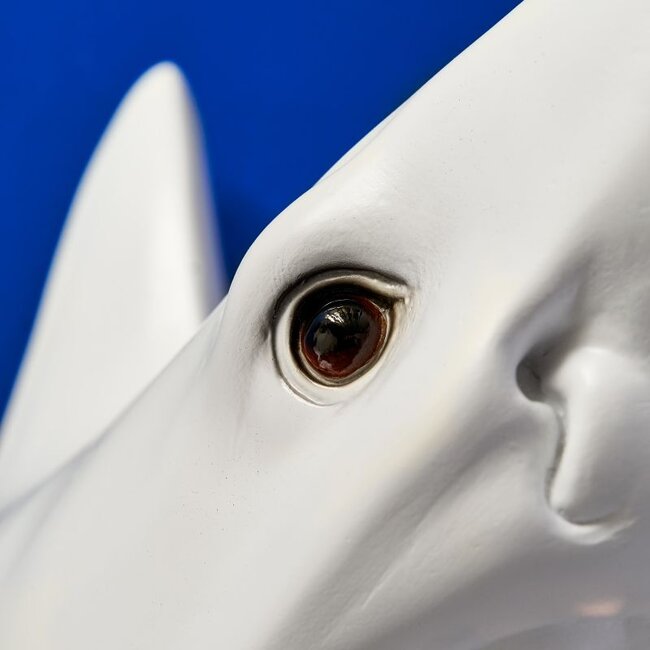 Werner Voß - Wandlamp - Dierenlamp Haai Sharky - wit/goud