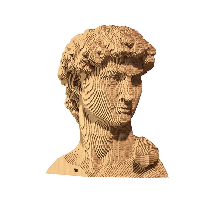 Cartonic - Puzzle Sculpture 3D David de Michelangelo