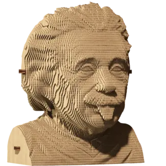 Cartonic 3D Puzzel Albert Einstein