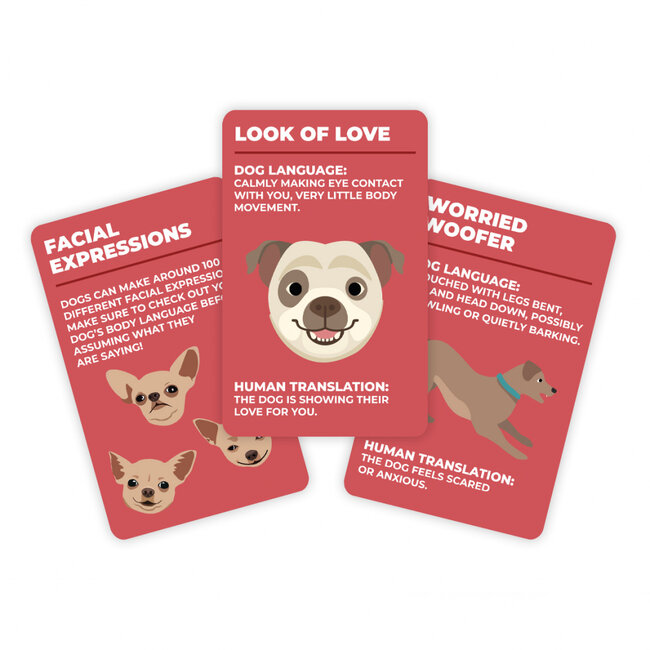 Gift Republic - Set de Cartes How To Speak Dog