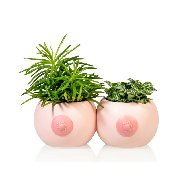 Bitten - Tasses The Boob Cup - ensemble de 2