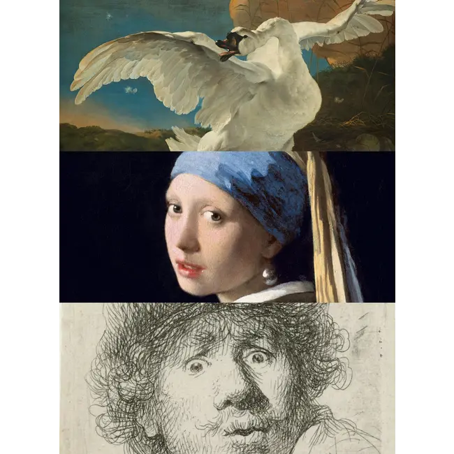 Kunstsokken - Sokken Dutch Masters - Hollandse Meesters Cadeauset - 3 paar