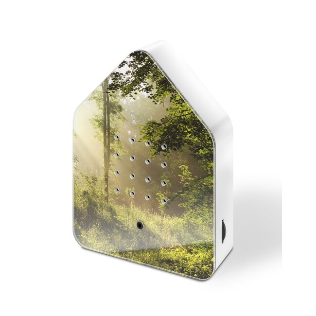 Relaxound - Zwitscherbox - Box Gazouillis Détecteur de Mouvement - Bruits d'Oiseaux -  Sunbeam