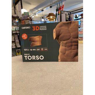 Cartonic 3D-Puzzle Männlicher Torso