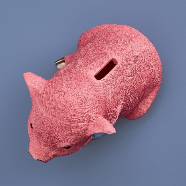 Werner Voß Werns - Sparschwein Piggybank Pink