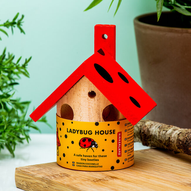 Kikkerland - Ladybug House