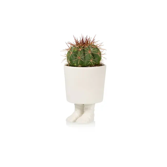 Bitten - Planter Gladiator Sandal Feet - porcelain  - large